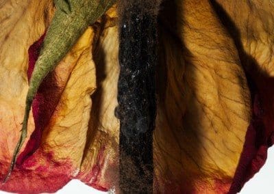 Sky Blue Dermatology