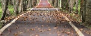 Internet Marketing Ideas to drive your business