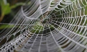 Blog Title Generator As A Lead Capture Generator