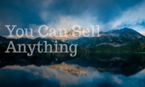 You Can Sell Anything - Icon Innovations