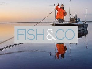 Fish & Co - Go Wild with Seafood