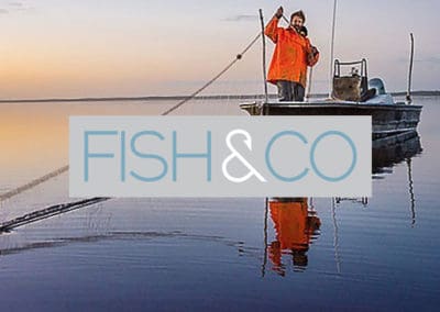 Fish & Co - Go Wild with Seafood
